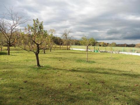 zahrada